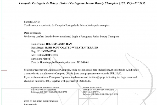 campeo-portugues-page-0001D49B1B16-824E-A404-1790-C64FC4556AE2.jpg