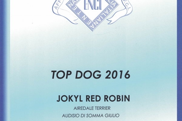 top-dog-20161F1D1BC0-ED9D-8D07-B6F4-EAE60CE1DF56.jpg