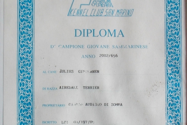 diploma1149AEFC8-AA1F-1E5C-F404-E2A80C03988B.jpg